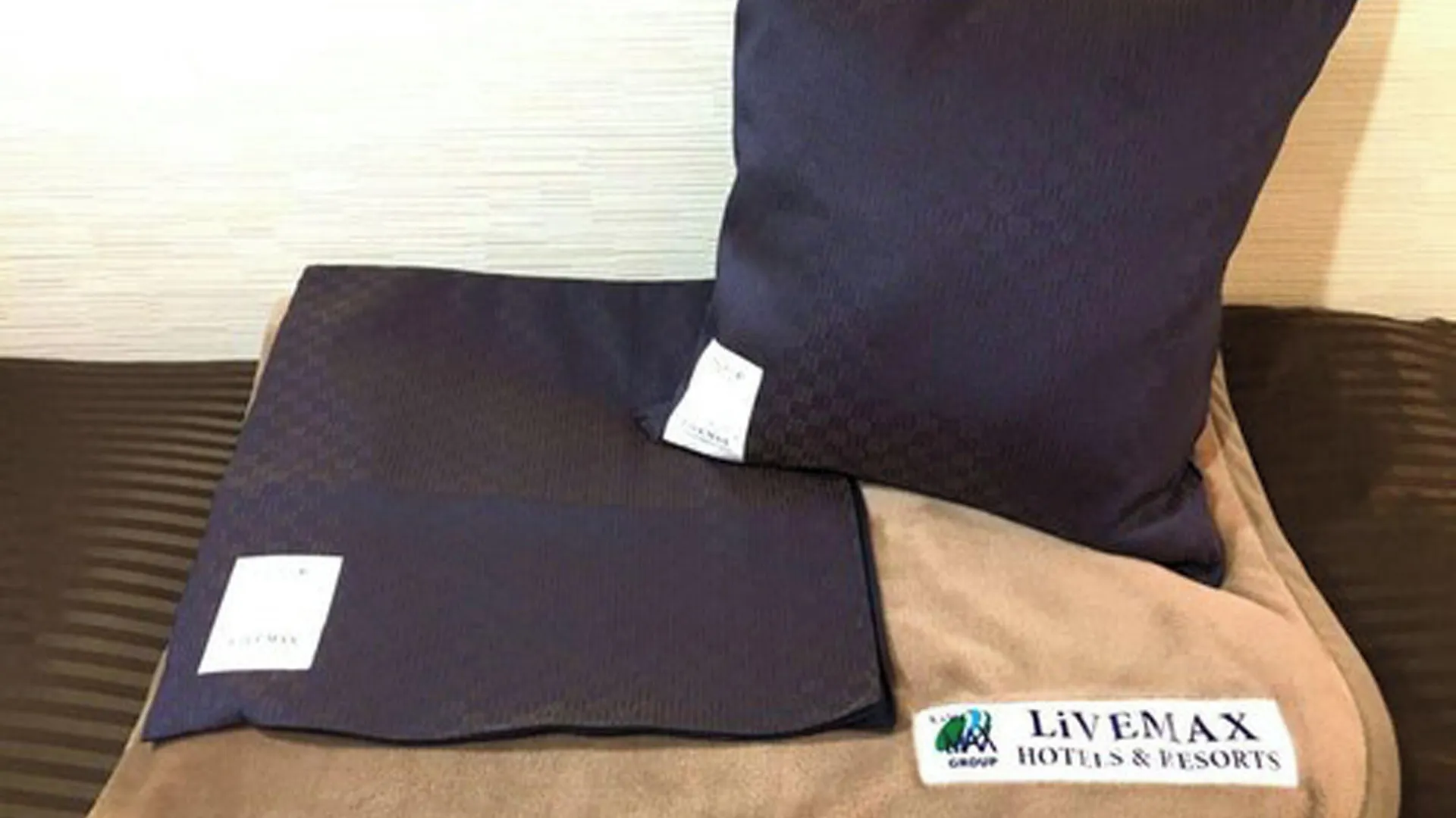 Hotel Livemax Kyoto Ekimae 2*,